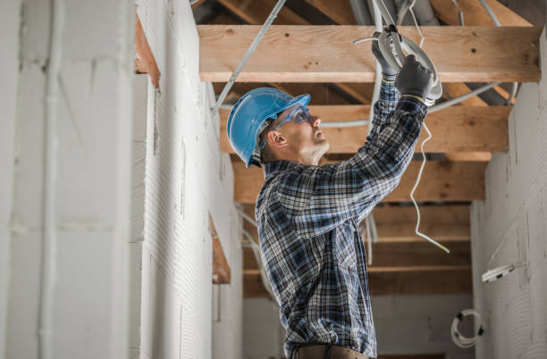 Best Electrician for Home Renovation  in Gibson, AR